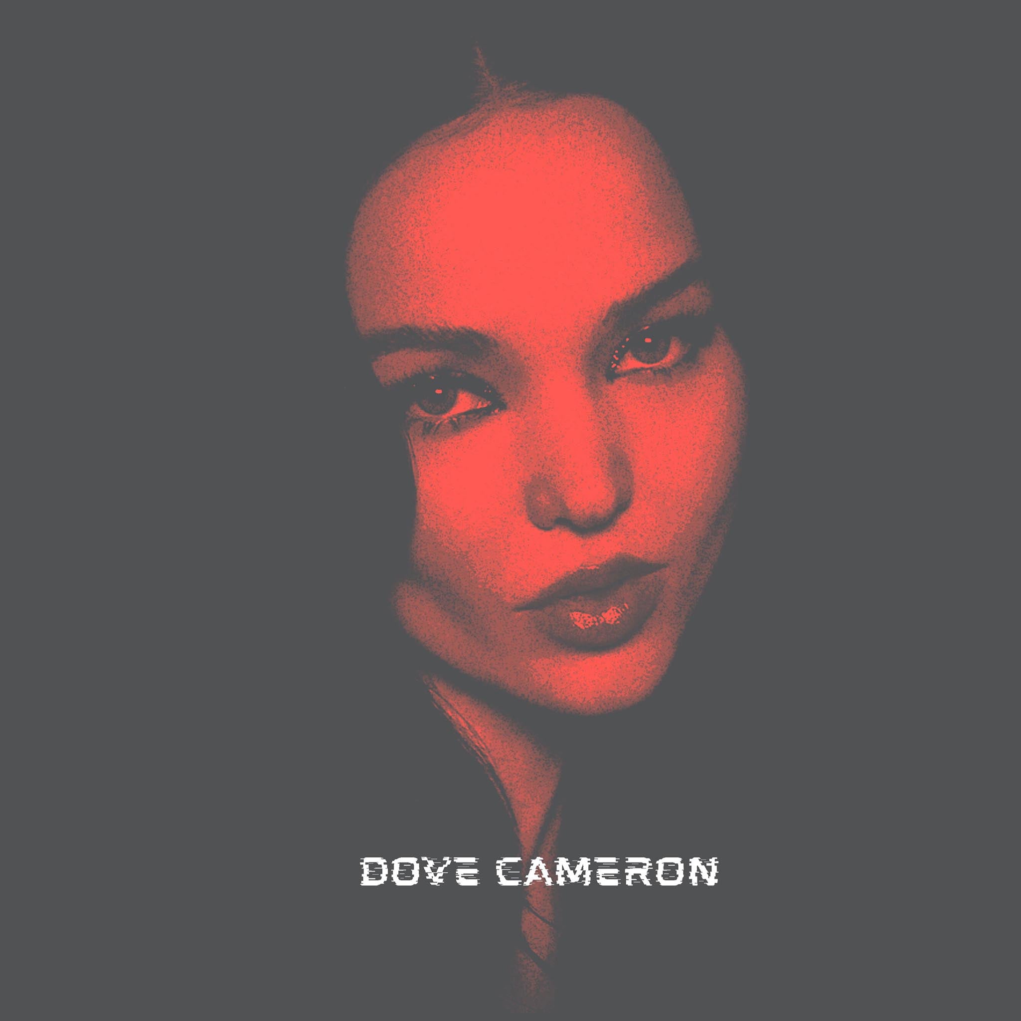 dc3tee_0000_Layer2_2048x.jpg?v